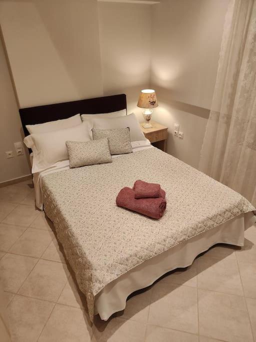 Apartamento Lefkothea'S House Atenas Exterior foto